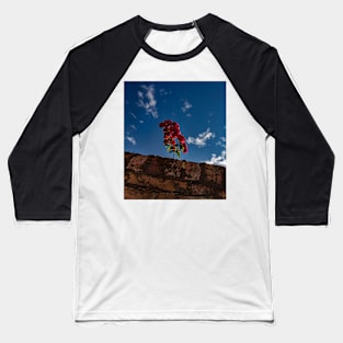 Flowers on the wall Baseball T-Shirt